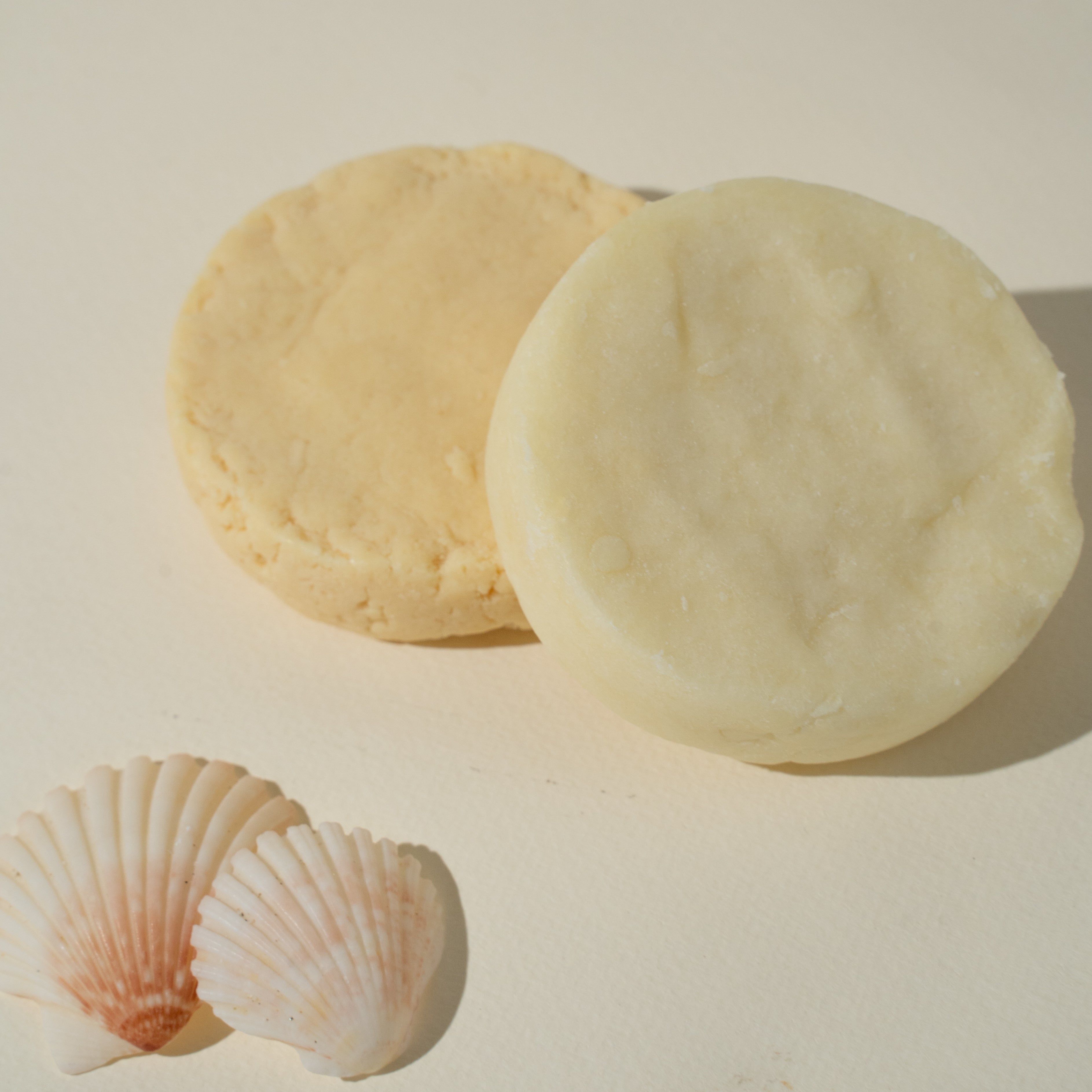 2 plastic-free shampoo and conditioner bars.